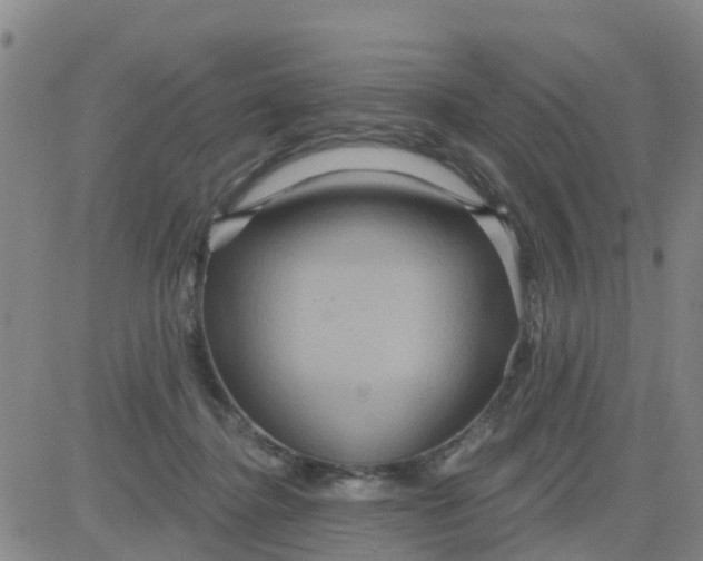 X0000084020364200703022103