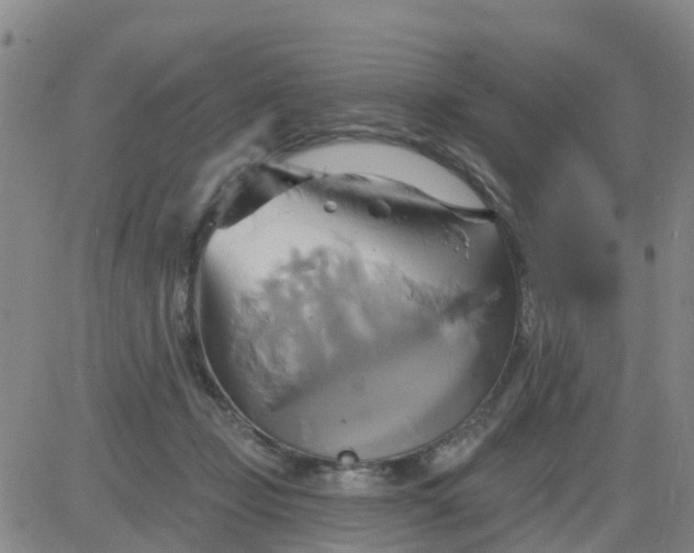 X0000084020365200703022103