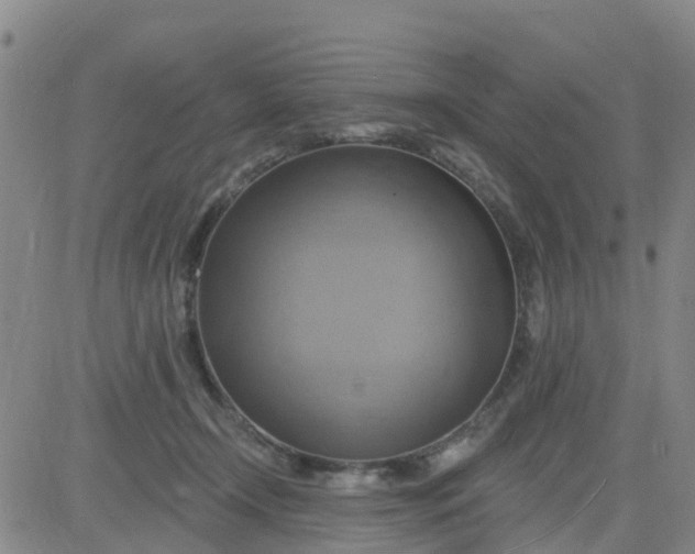 X0000084020366200703022103