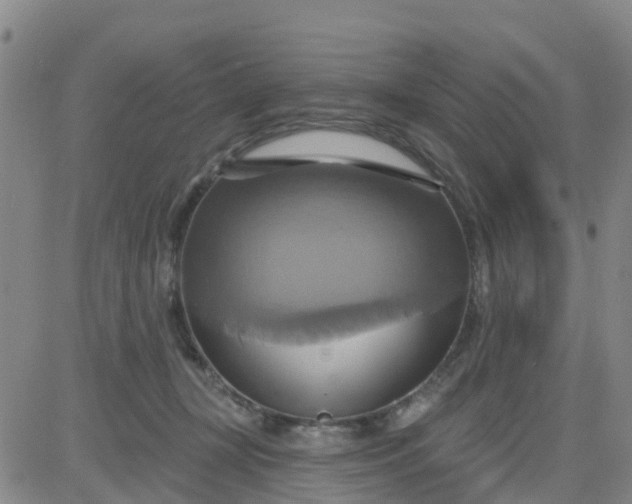 X0000084020367200703022103