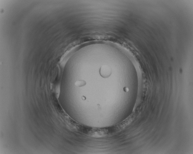 X0000084020368200703022103