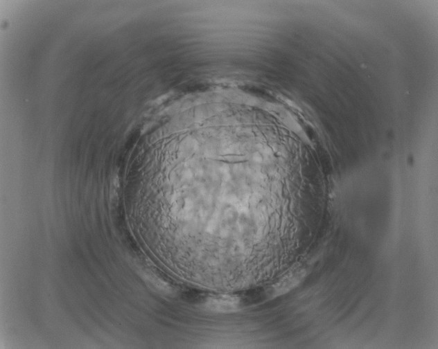 X0000084020369200703022103