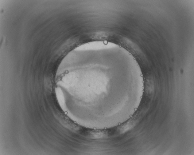 X0000084020370200703022103