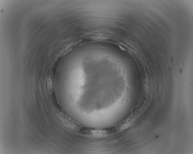 X0000084020371200703022103