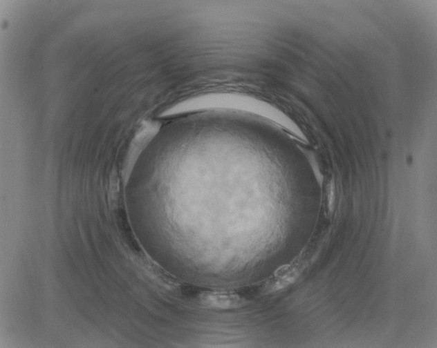 X0000084020372200703022103