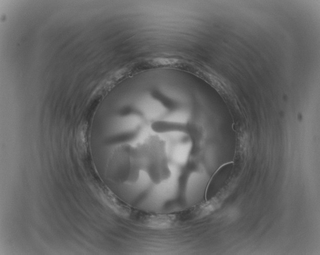 X0000084020373200703022103