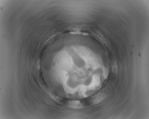 X0000084020374200703022103