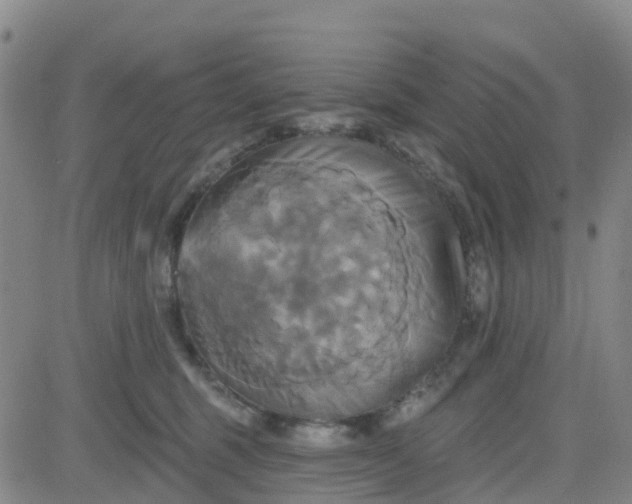 X0000084020375200703022103