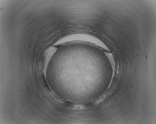 X0000084020376200703022103