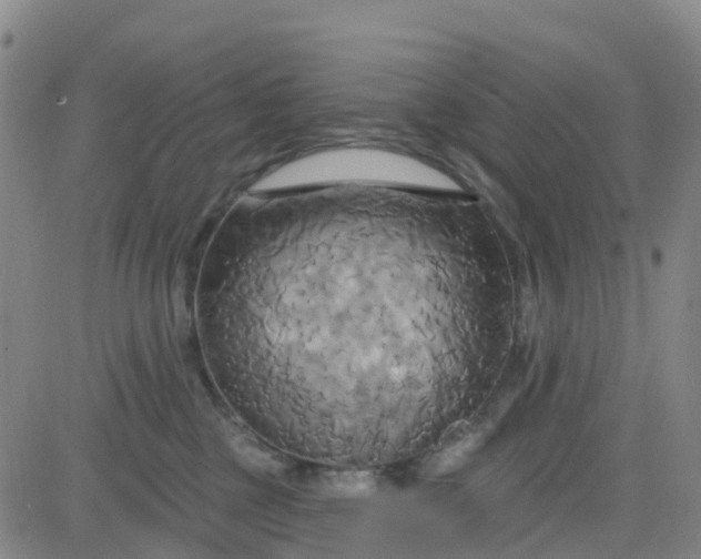 X0000084020377200703022103