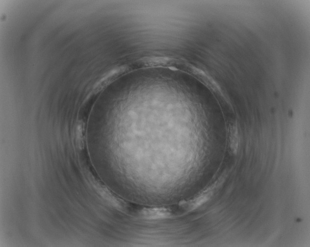 X0000084020378200703022103