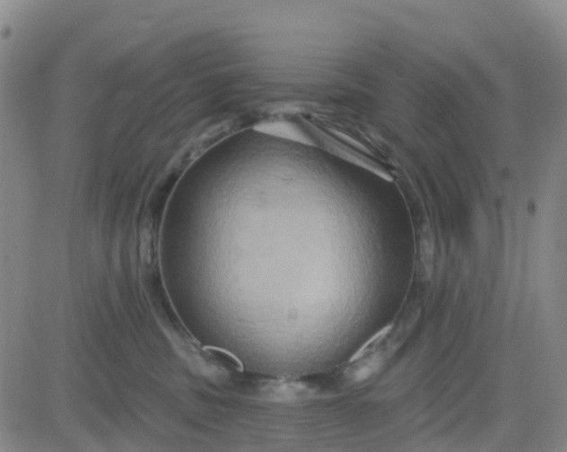 X0000084020379200703022103