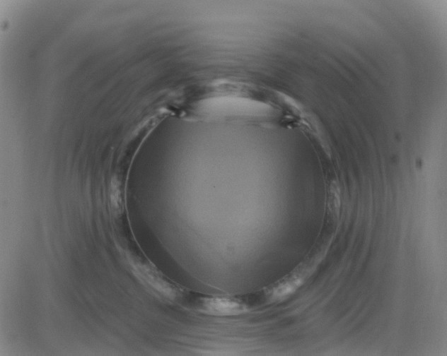 X0000084020380200703022103