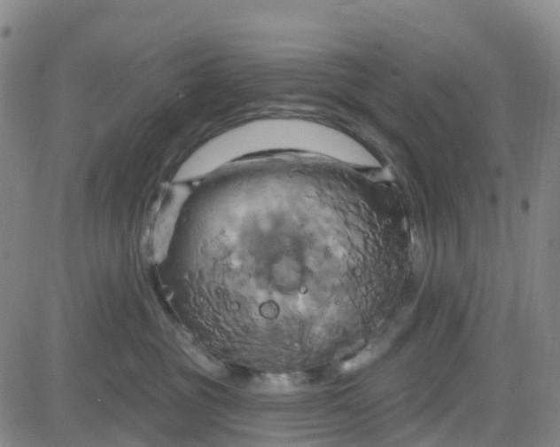 X0000084020381200703022103