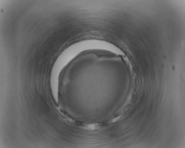 X0000084020382200703022103