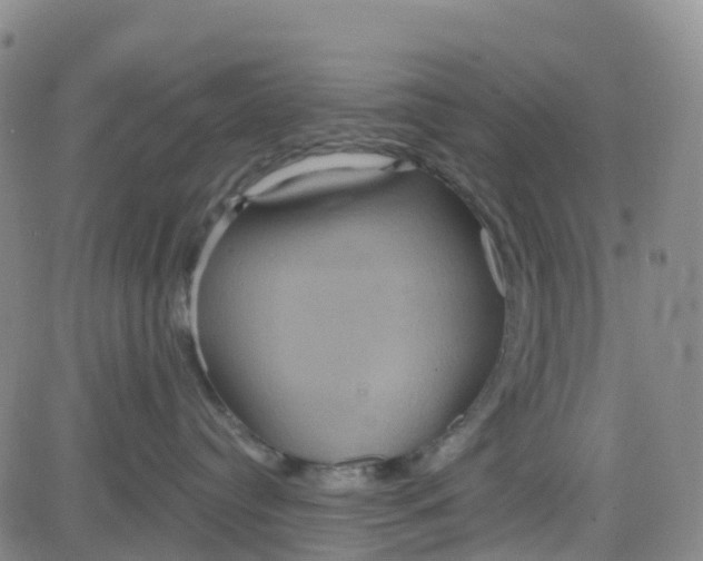 X0000084020384200703022103