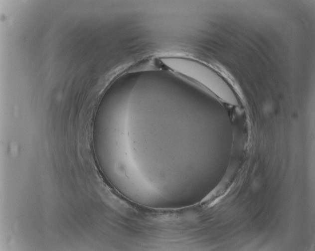 X0000084020385200703022102