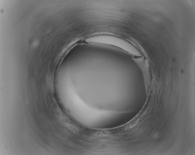 X0000084020386200703022102