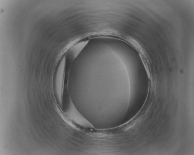 X0000084020389200703022102