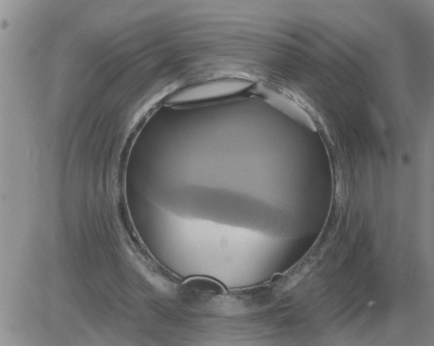 X0000084020390200703022102