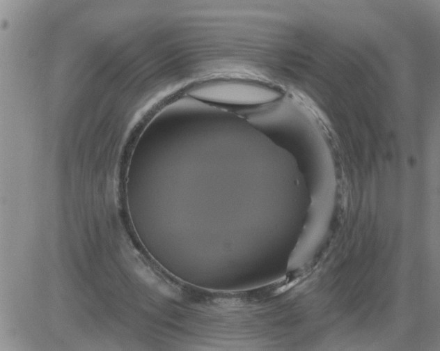 X0000084020391200703022102