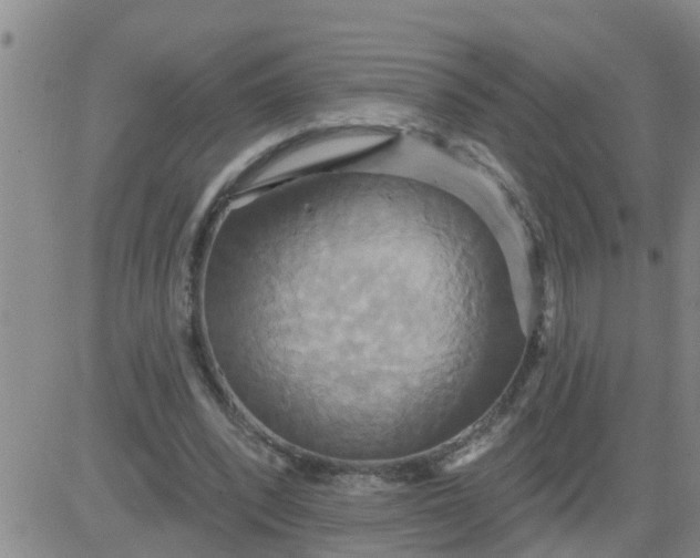 X0000084020392200703022102