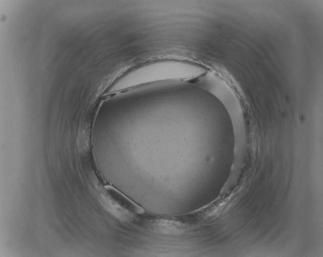 X0000084020393200703022102