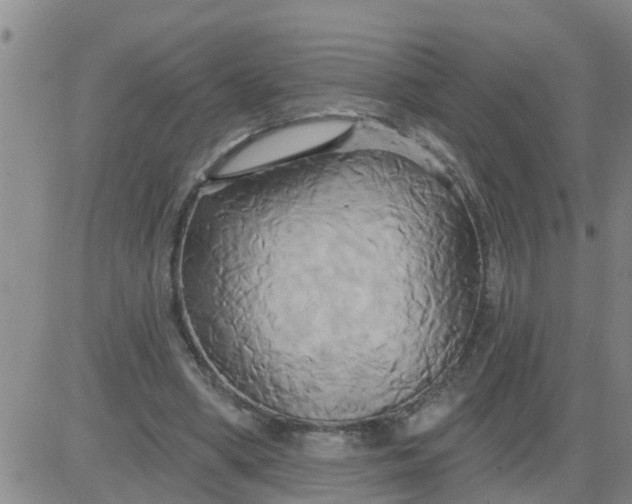 X0000084020394200703022102