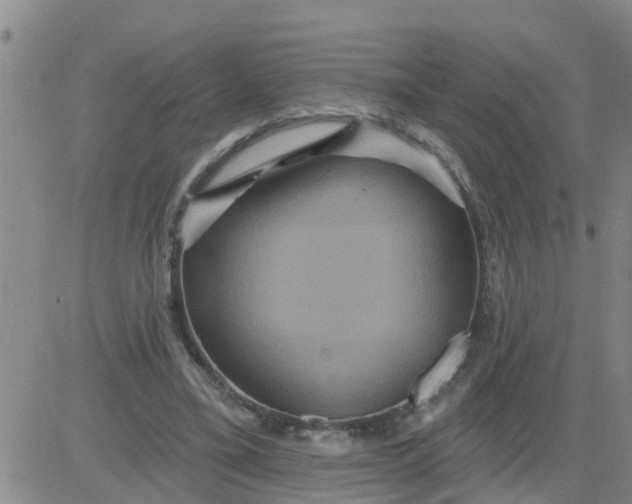 X0000084020395200703022102