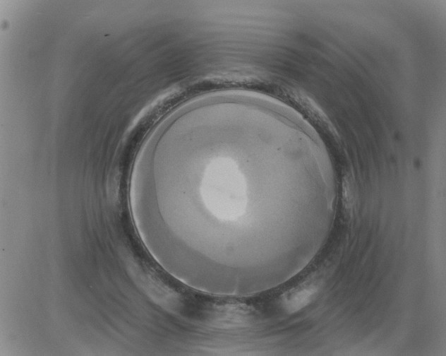 X0000084020396200703022102