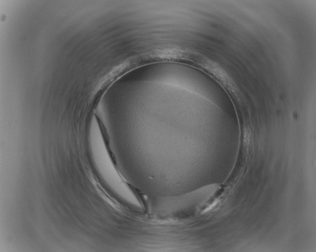 X0000084020397200703022102