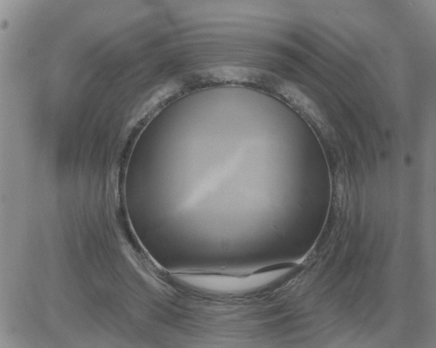 X0000084020398200703022102