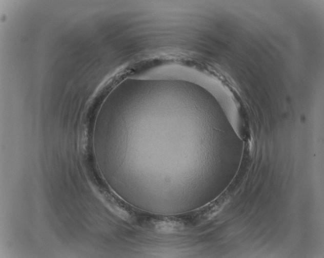 X0000084020400200703022102