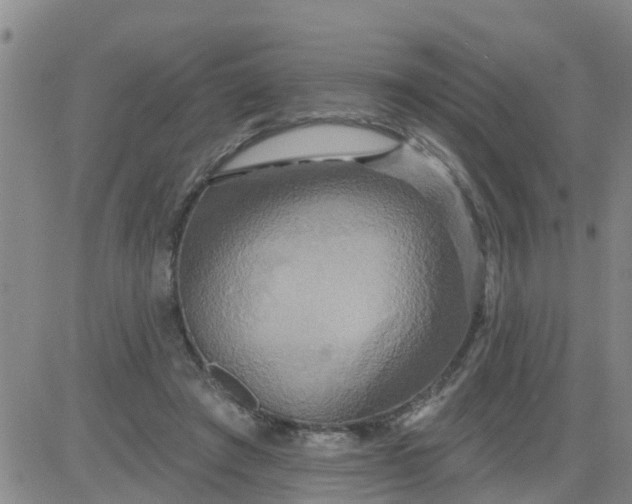 X0000084020401200703022102