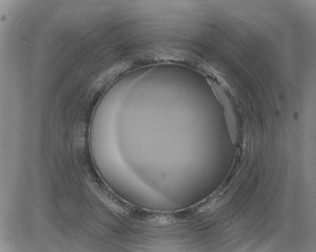 X0000084020402200703022102