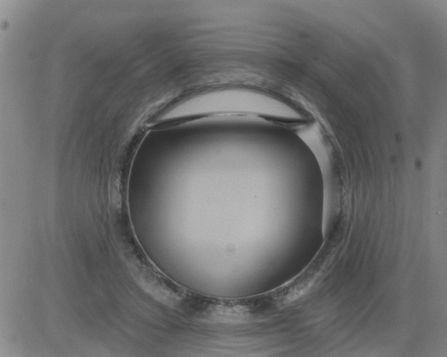 X0000084020403200703022102