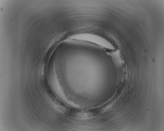 X0000084020404200703022102