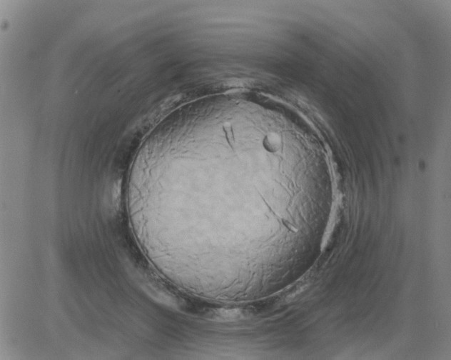 X0000084020406200703022102