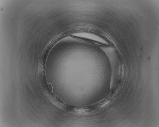 X0000084020407200703022102