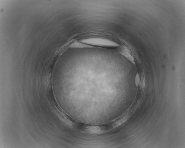 X0000084020409200703022102