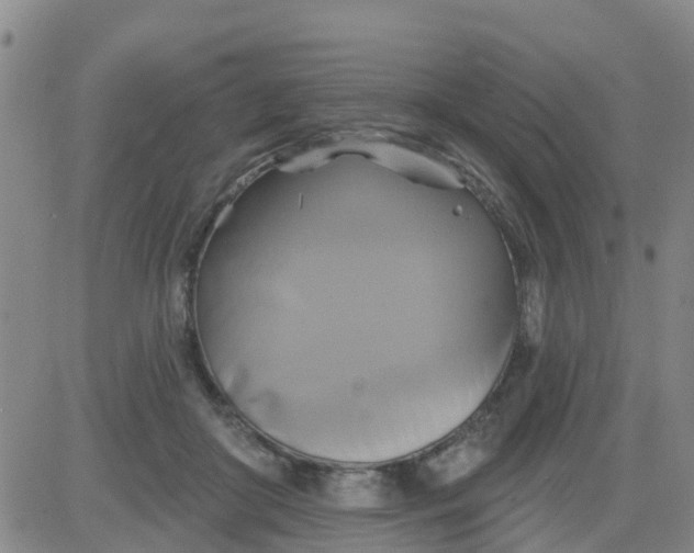 X0000084020410200703022102