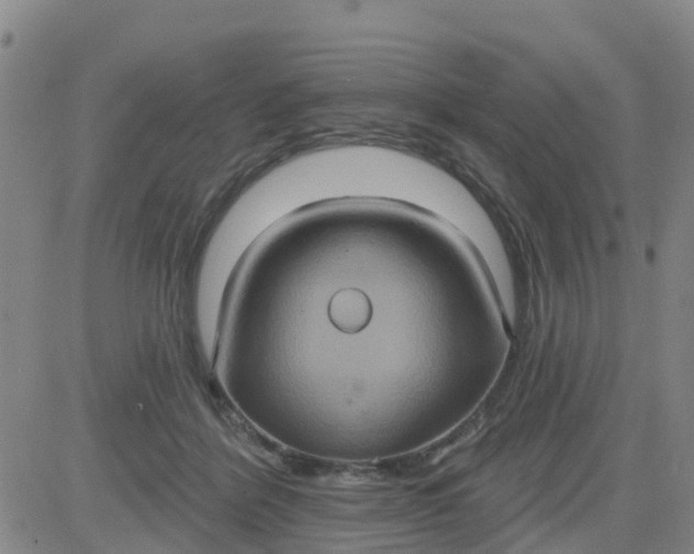 X0000084020412200703022102