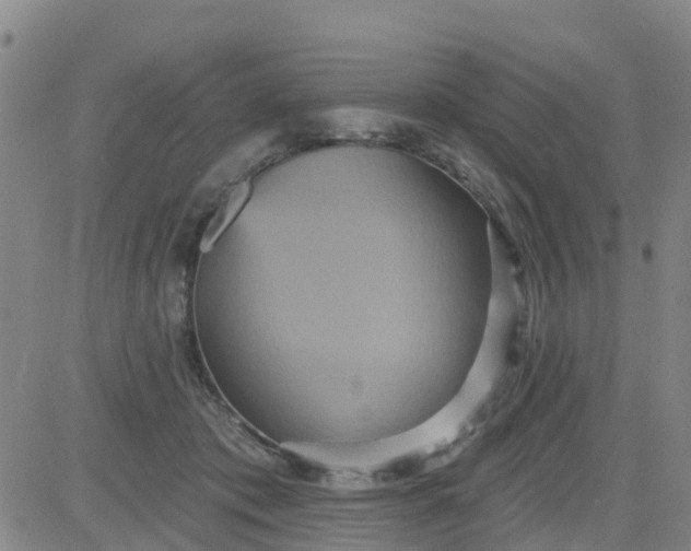 X0000084020413200703022102