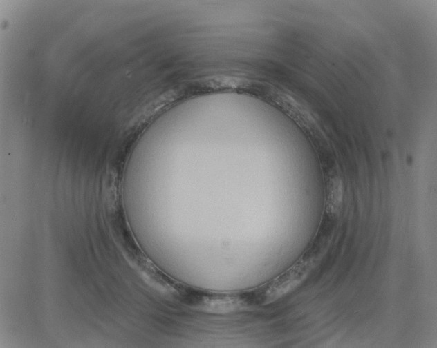 X0000084020414200703022102