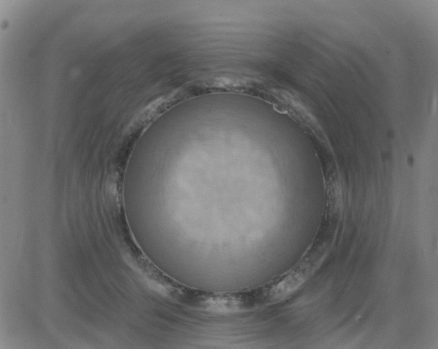 X0000084020415200703022102