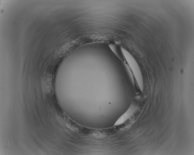 X0000084020416200703022102