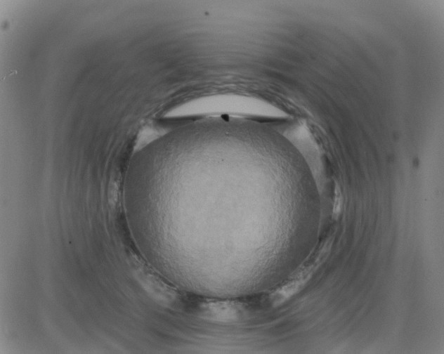 X0000084020417200703022102