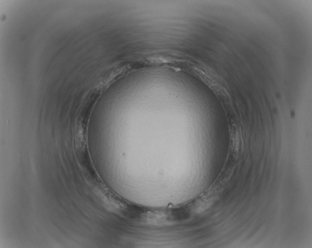 X0000084020418200703022102