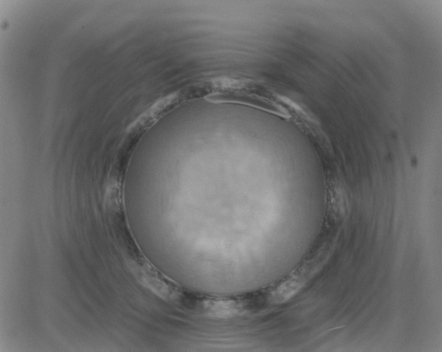 X0000084020419200703022102