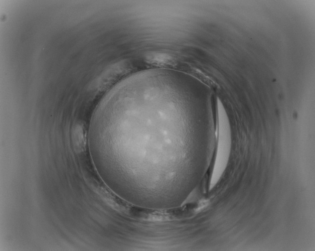 X0000084020420200703022102